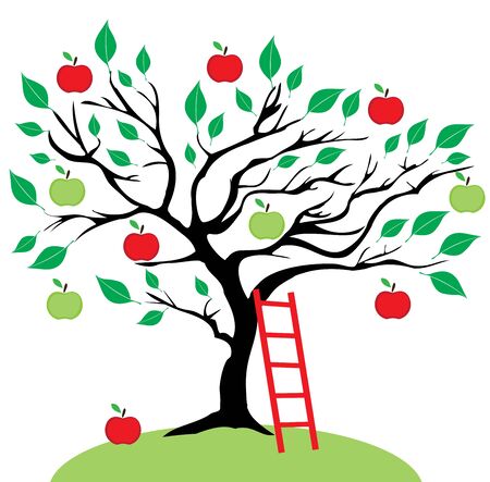 vector illustration of an apple tree with a ladder.のイラスト素材