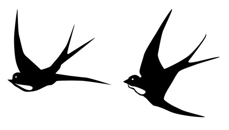 vector illustration of flying swallows birds silhouettesのイラスト素材
