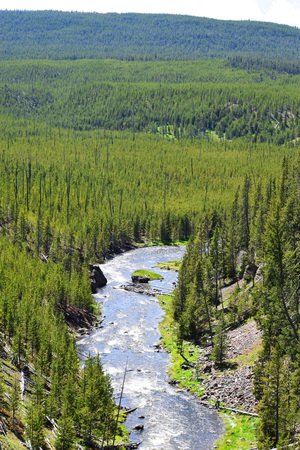 Yellowstone National Park river running through Great Canyonの写真素材