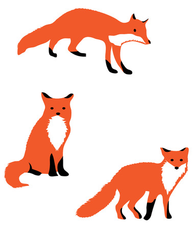 vector illustration of fox. animal world. wild animals. nature background.のイラスト素材