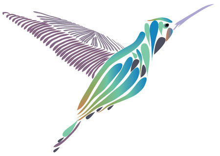 vector illustration of a hummingbird isolated on white background.のイラスト素材