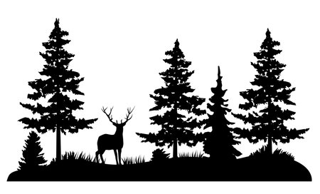 vector illustration of deer in the woods. Pine trees, wilderness, outdoors background.のイラスト素材