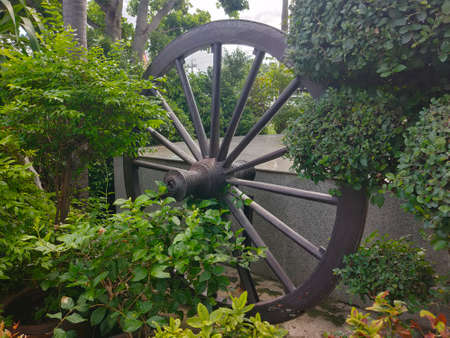 The old wagon wheel in the grove