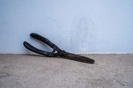 Old garden scissors One black one on the ground looks like it has been used for a long time.の写真素材