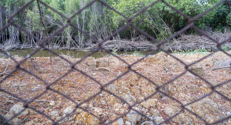 Water canal between the land and the tree, looking through the wire mesh.の写真素材