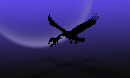birdの写真素材