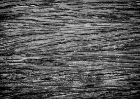 hardwood background textureの写真素材