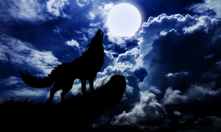 moon red wolf