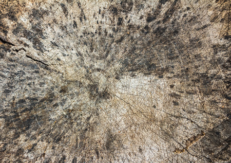 Wood backgroundの写真素材