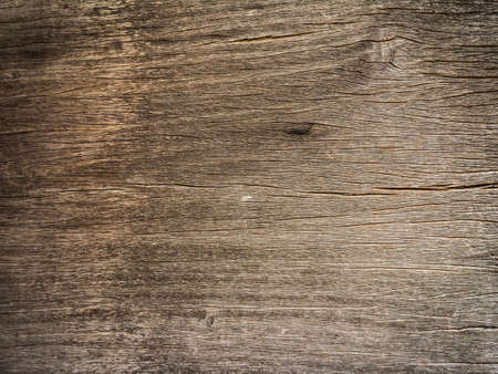 Wood texture