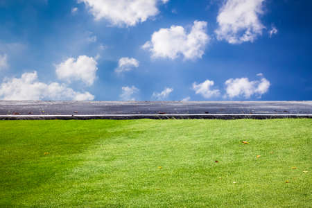 Image of green grass field and bright blue skyの写真素材