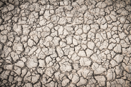 Background soil fissuresの写真素材