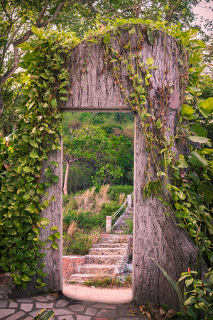Door to nature treeの写真素材