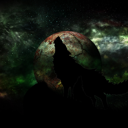 Wolf and Full Moon