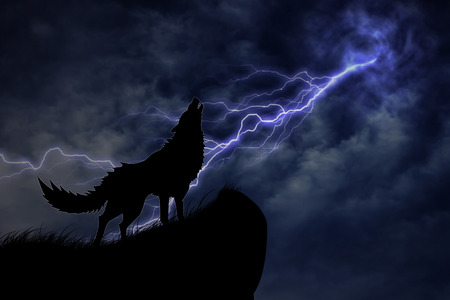 wolf in silhouette to thunderstormの写真素材