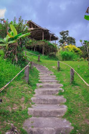He walked up to the green grass and sky.の写真素材