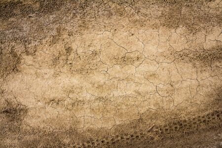 Dry earth surface cracksの写真素材