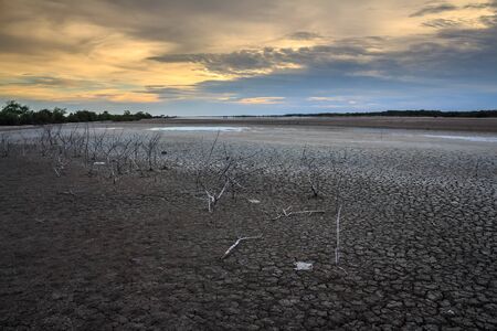 Land with dry and cracked ground. Desert