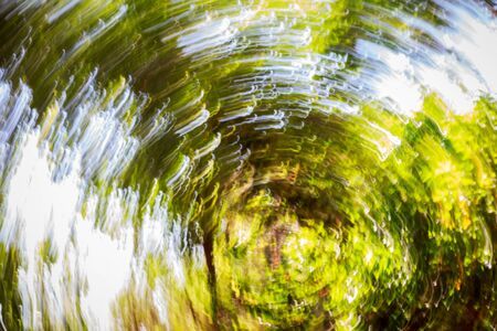 Abstract blurred bokeh yellow backgroundの写真素材