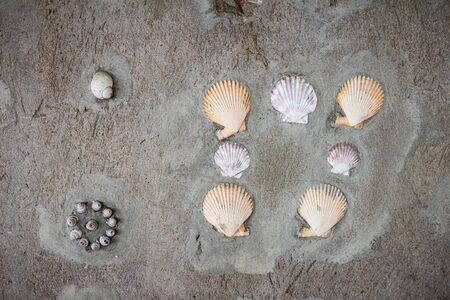 Wall mortar shell pattern
