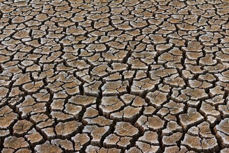 cracked groundの写真素材