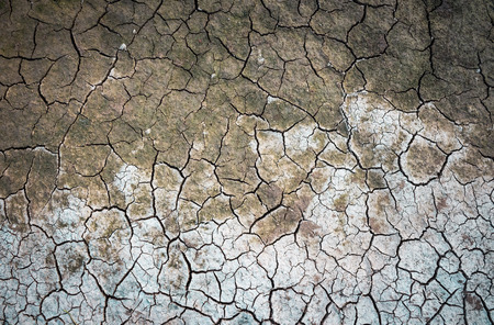 cracked ground for background