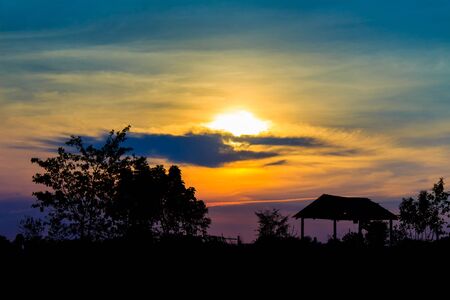 sunset with a trees silhouette at sunsetの写真素材