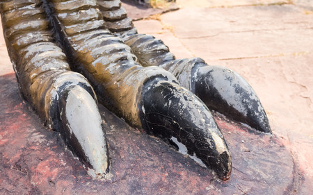 dinosaur footの写真素材