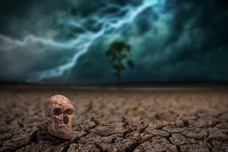 Skull man on land to the ground dry cracked and big tree. With lightning stormの写真素材