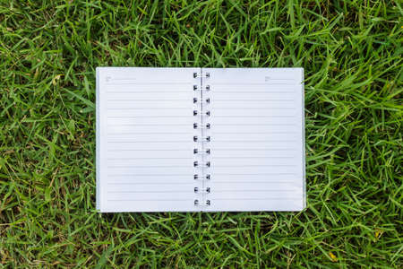Paper on the lawn background.の写真素材