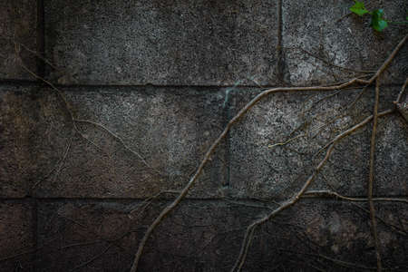 abstract green background grunge texture wall
