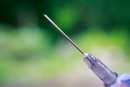 Syringe with needle on blur backgroundの写真素材