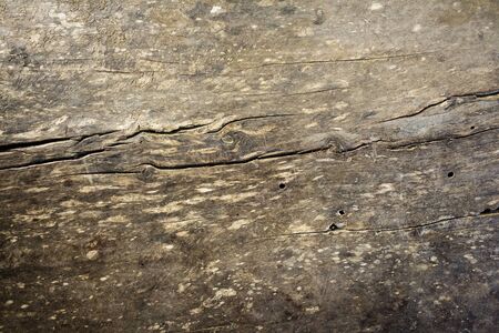 Old wood texture background