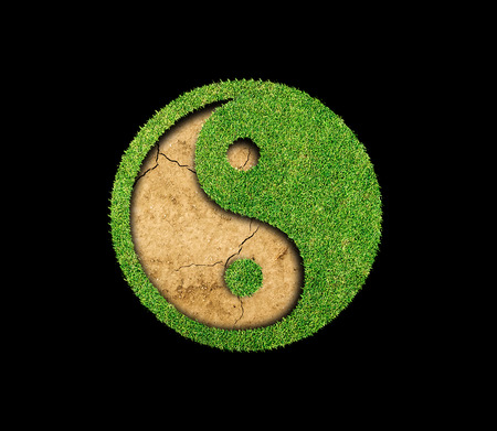 Yin Yang green grass on black backgroundの写真素材