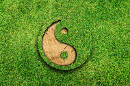 Yin Yang on green grass backgroundの写真素材