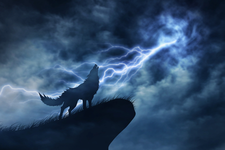 wolf in silhouette to thunderstormの写真素材