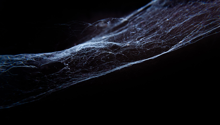 Cobweb or spider web on black backgroundの写真素材
