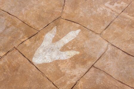 Dinosaur footprints on marble background