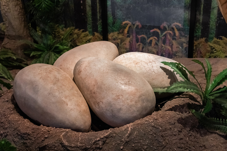 Karasin, Thailand - July 20, 2019 : Dinosaur egg at Sirindhorn Museum is a geology museum in northeast Thailand.のeditorial素材