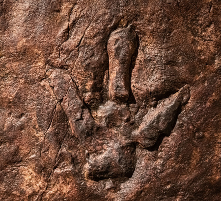 Karasin, Thailand - July 20, 2019: Real dinosaur footprint, Thailand.のeditorial素材