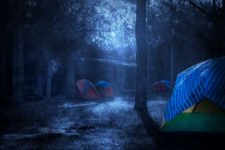 3D Rendering Abstract Door light fantastic scene and room with light element.の写真素材