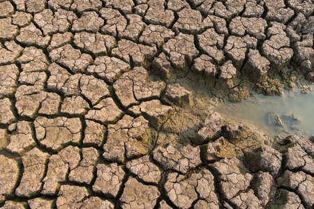 Dry water crisis the land cracked near dry water.の写真素材