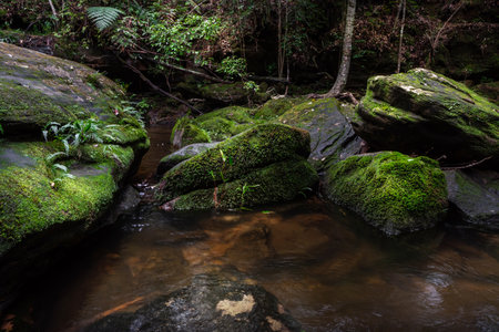 Waterfall in the rainforest At Pen Phop Waterfall, Phu Kradueng National Park, Thailand