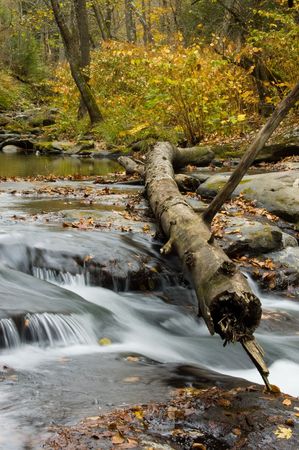 Autumn Stream, West Virginiaの写真素材