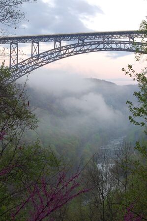 Fog Under The Bridge