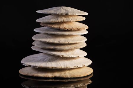 Sand dollar with reflection and black backgroundの写真素材