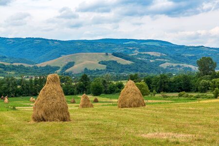 Landscape with bales of straw builded manuallyby the farmerの写真素材