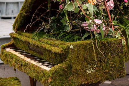 Old piano dress in green moss and flowersの写真素材
