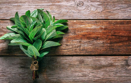 Bunch of herb mint on wooden の写真素材