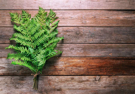 Bunch of green fern leaves on wooden の写真素材